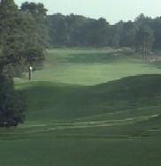 golf pics